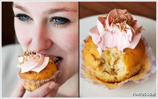 Cool Funny Pictures Of The Day