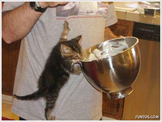 Cool Funny Pictures Of The Day