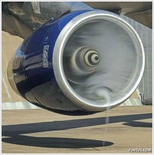 Cool Funny Pictures Of The Day