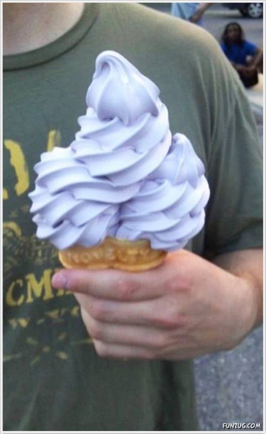 Cool Funny Pictures Of The Day