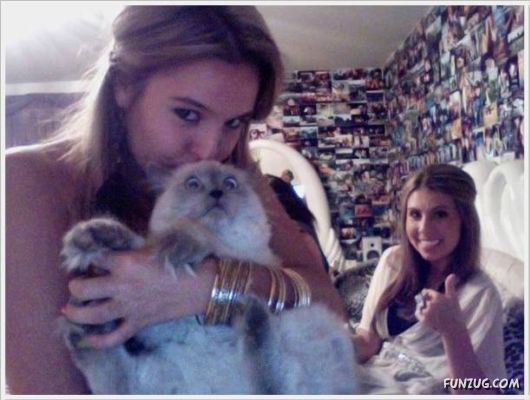 Cool Funny Pictures Of The Day