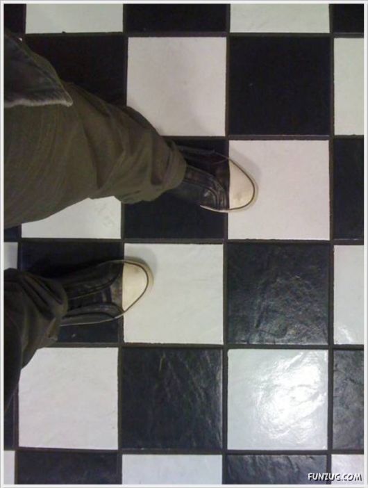 Cool Funny Pictures Of The Day