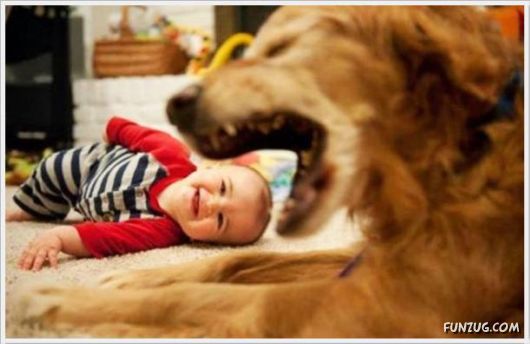 Cool Funny Pictures Of The Day