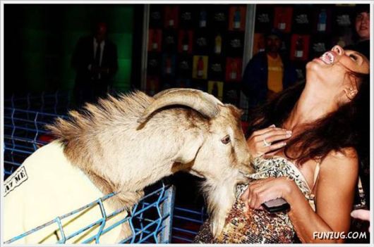 Cool Funny Pictures Of The Day