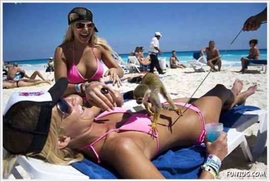 Cool Funny Pictures Of The Day