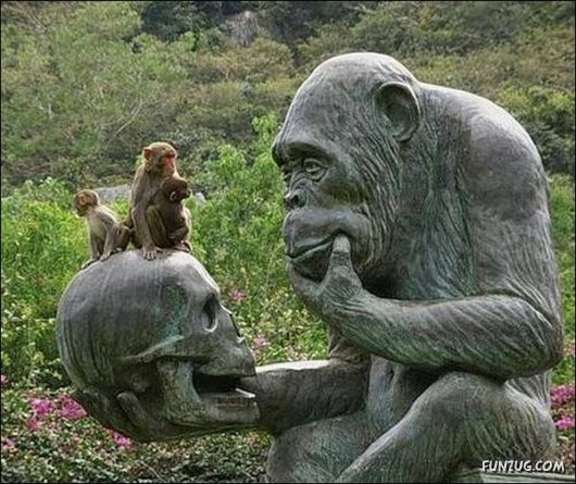 Daily Crazy Pic Mania