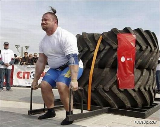 Daily Crazy Pic Mania