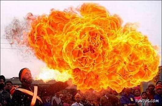 Daily Crazy Pic Mania