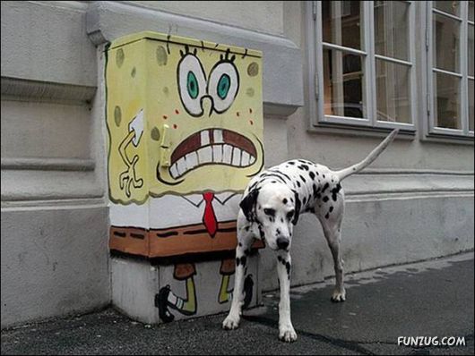 Daily Crazy Pic Mania