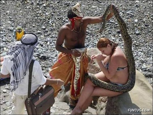 Daily Crazy Pic Mania