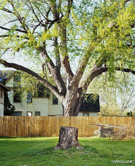 Cute Funny Pictures of the Day