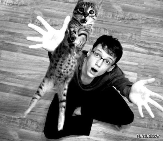 Cute Funny Pictures of the Day