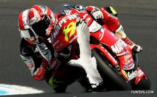 Cute Funny Pictures of the Day