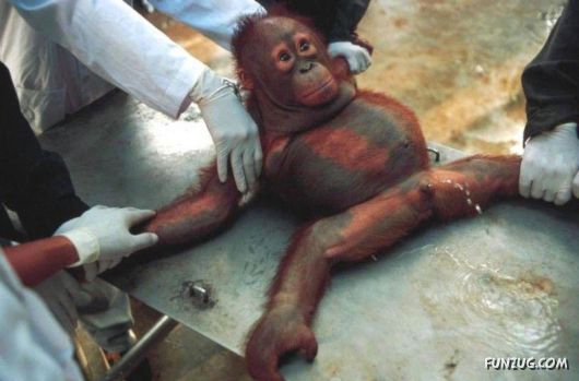 Cute Funny Pictures of the Day