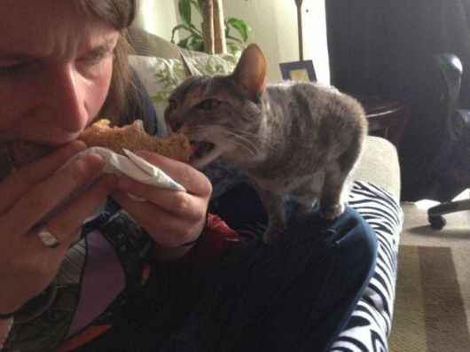 Funny Crazy Pictures Of The Week