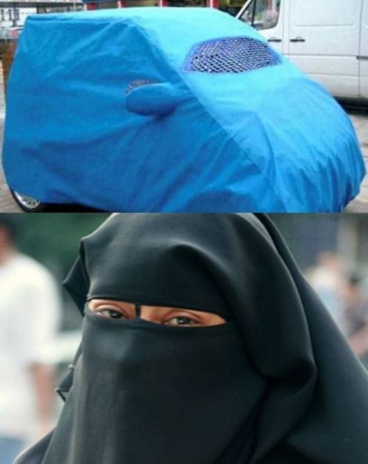 Funny Crazy Pictures Of The Week