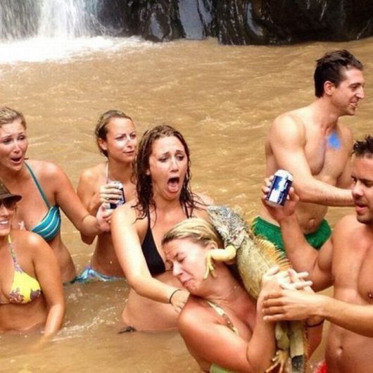 Funny Crazy Pictures Of The Week