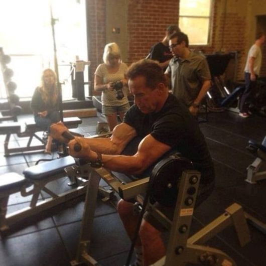 Funny Crazy Pictures Of The Week