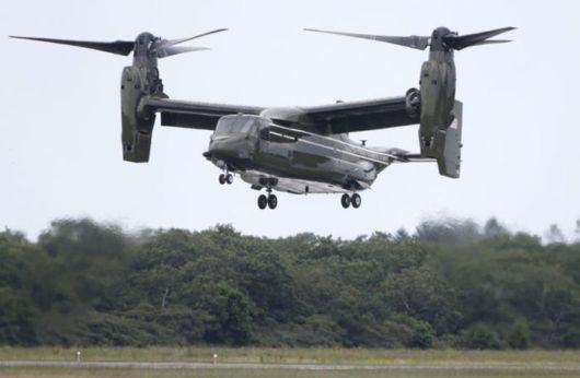 Funny Crazy Pictures Of The Week