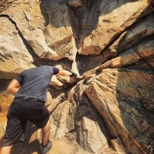 Funny Crazy Pictures Of The Week