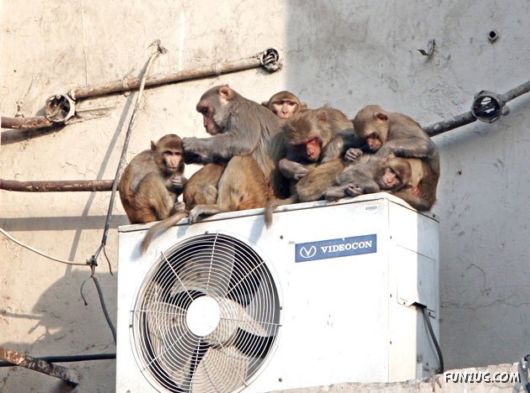 Just For Fun Pictures From India