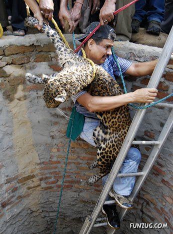 Just For Fun Pictures From India