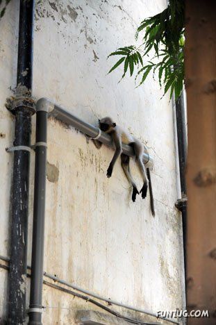 Just For Fun Pictures From India