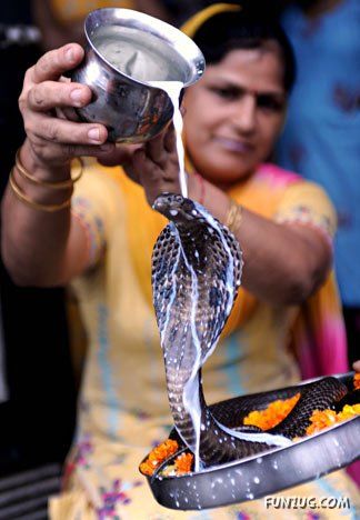 Just For Fun Pictures From India