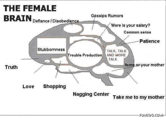 Know The Female Brain