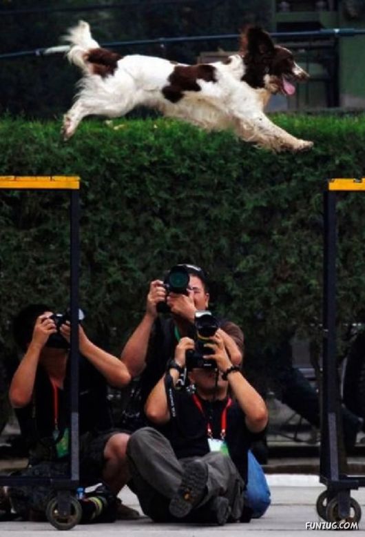 Laugh Over These Cool Funny Pics