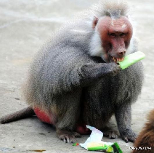 Laugh Over These Cool Funny Pics