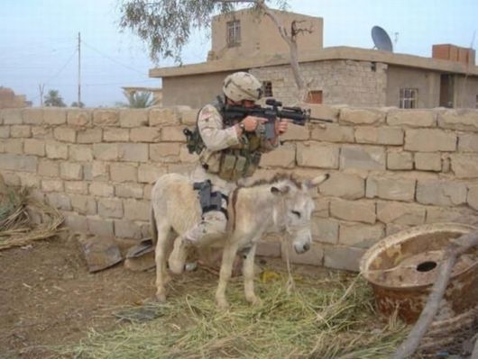 Funny Moments Military Pictures