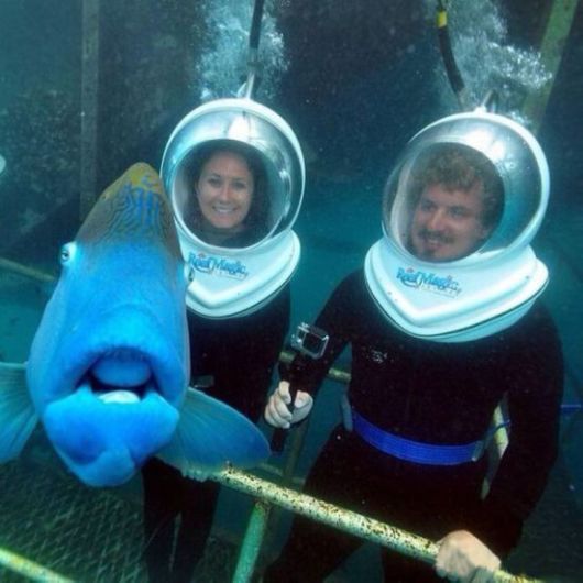 Photo Bombing Is An Art