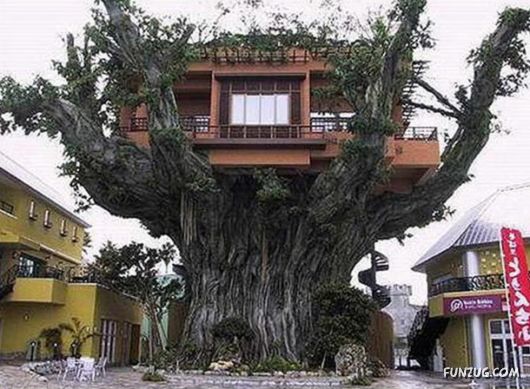 Stuff You Dont See Every Day