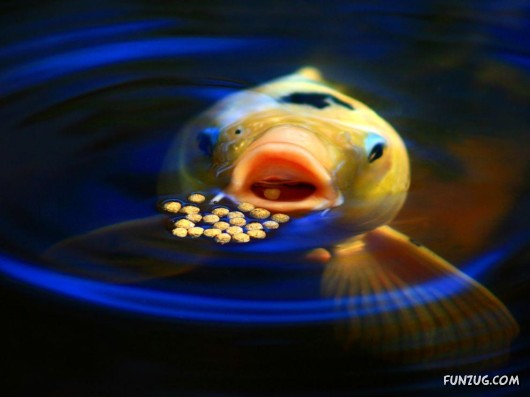 Enjoy These Cool Pictures