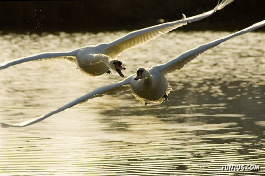 Enjoy These Cool Pictures