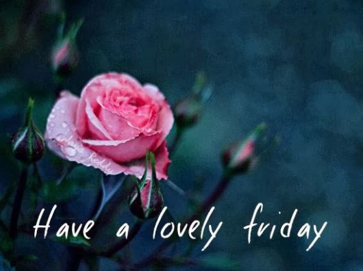 Have A Lovely Friday Morning | Funzug.com