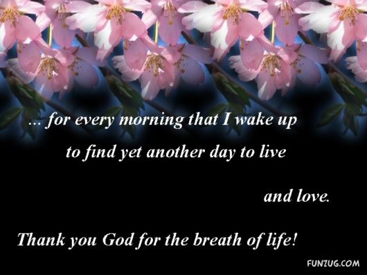 Feel Like Saying Thanks To God