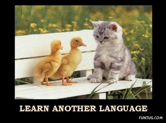 Things That Must Be Done This Year Only