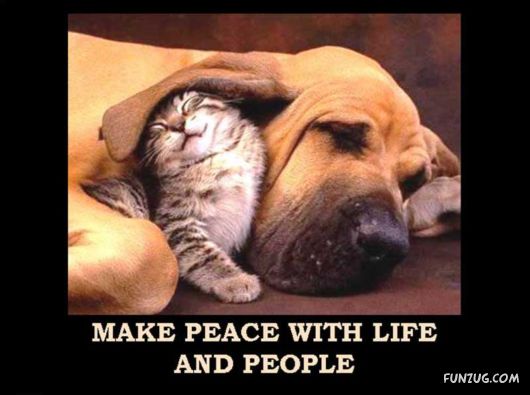 Things That Must Be Done This Year Only