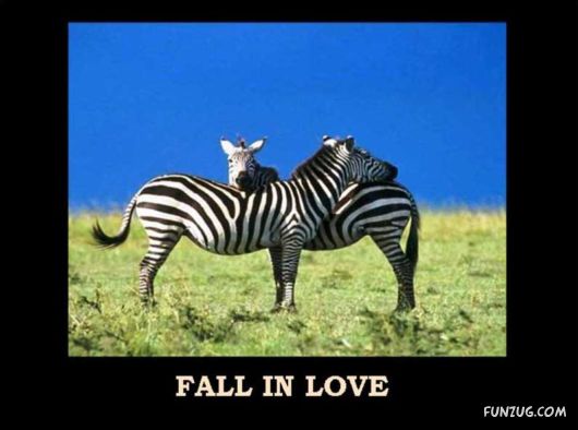 Things That Must Be Done This Year Only