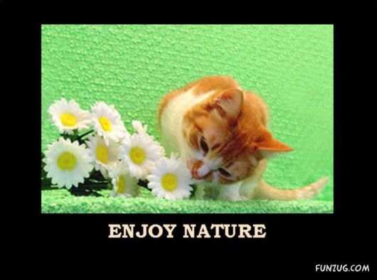 Things That Must Be Done This Year Only