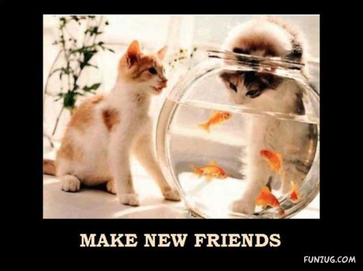 Things That Must Be Done This Year Only