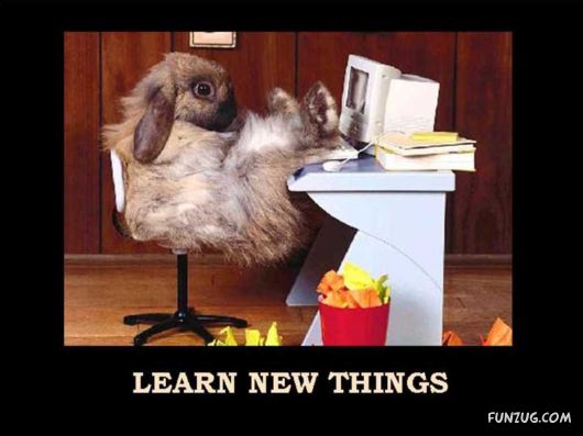 Things That Must Be Done This Year Only