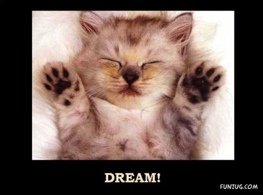 Things That Must Be Done This Year Only