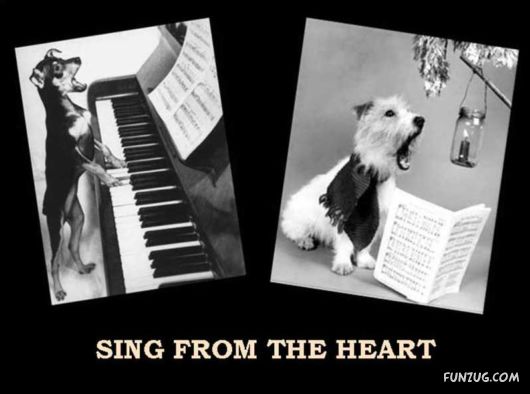 Things That Must Be Done This Year Only