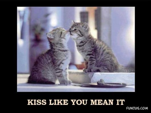 Things That Must Be Done This Year Only