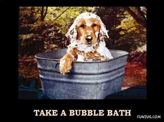 Things That Must Be Done This Year Only