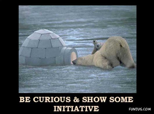 Things That Must Be Done This Year Only