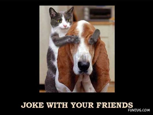 Things That Must Be Done This Year Only